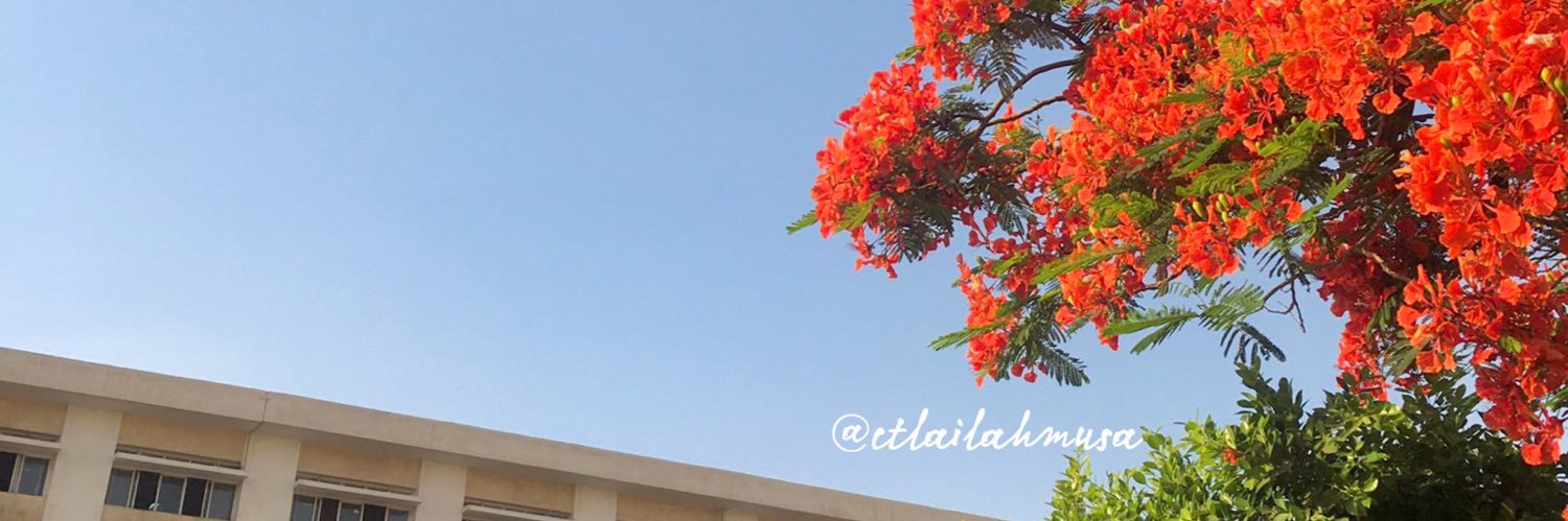 ctlailahmusa's profile banner image