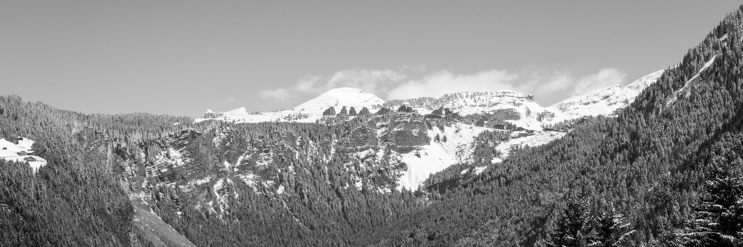LCtiteuf's profile banner image