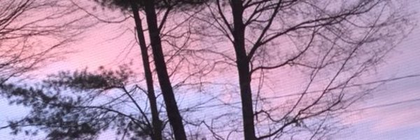 AustK14 Profile Banner