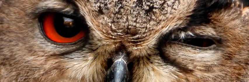 dordooo1's profile banner image