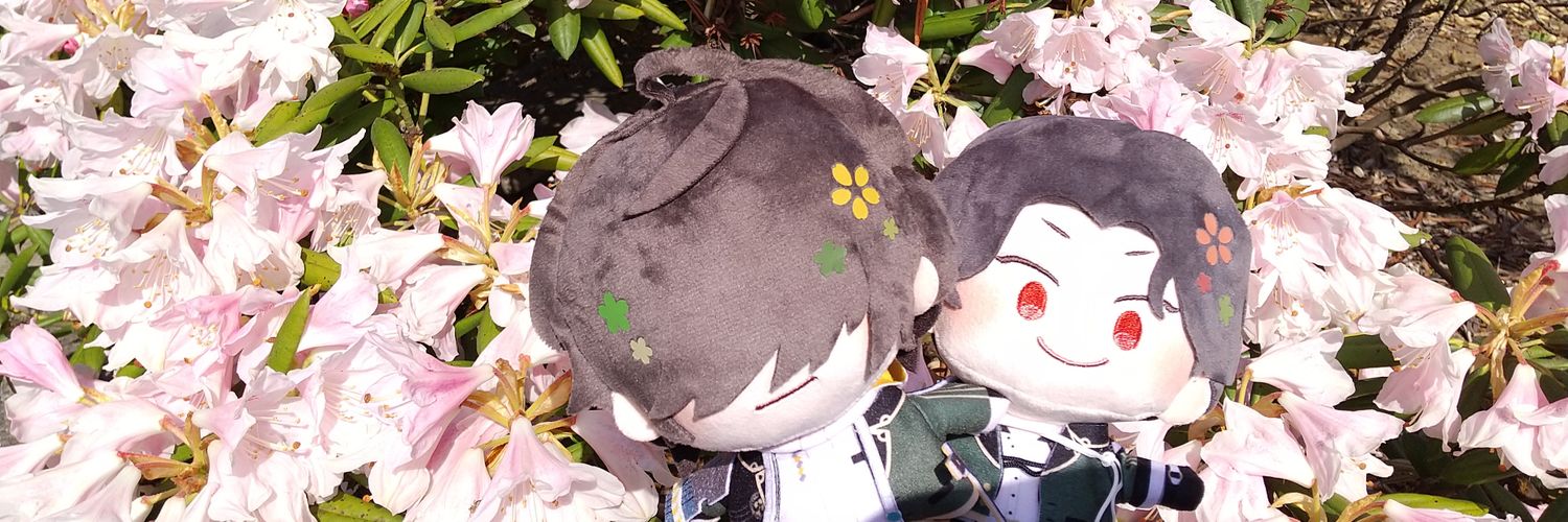 stokonsk's profile banner image