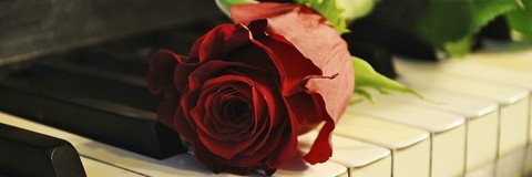 VittorioChiummo's profile banner image