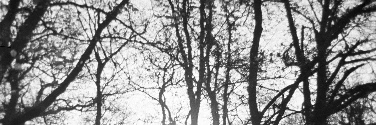 varlll's profile banner image