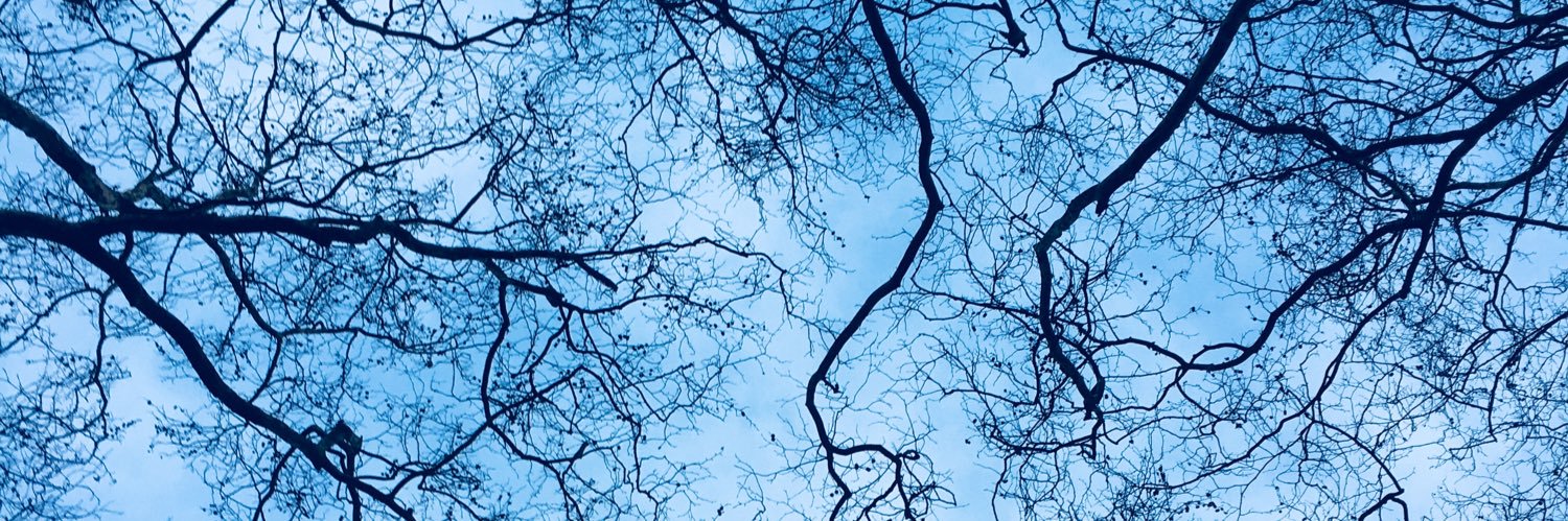 AlessiaM_'s profile banner image