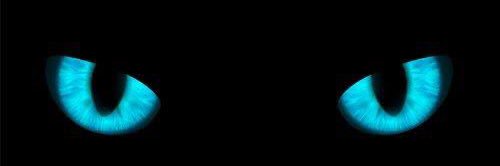stknceks's profile banner image