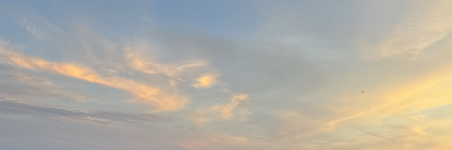 adripaty's profile banner image