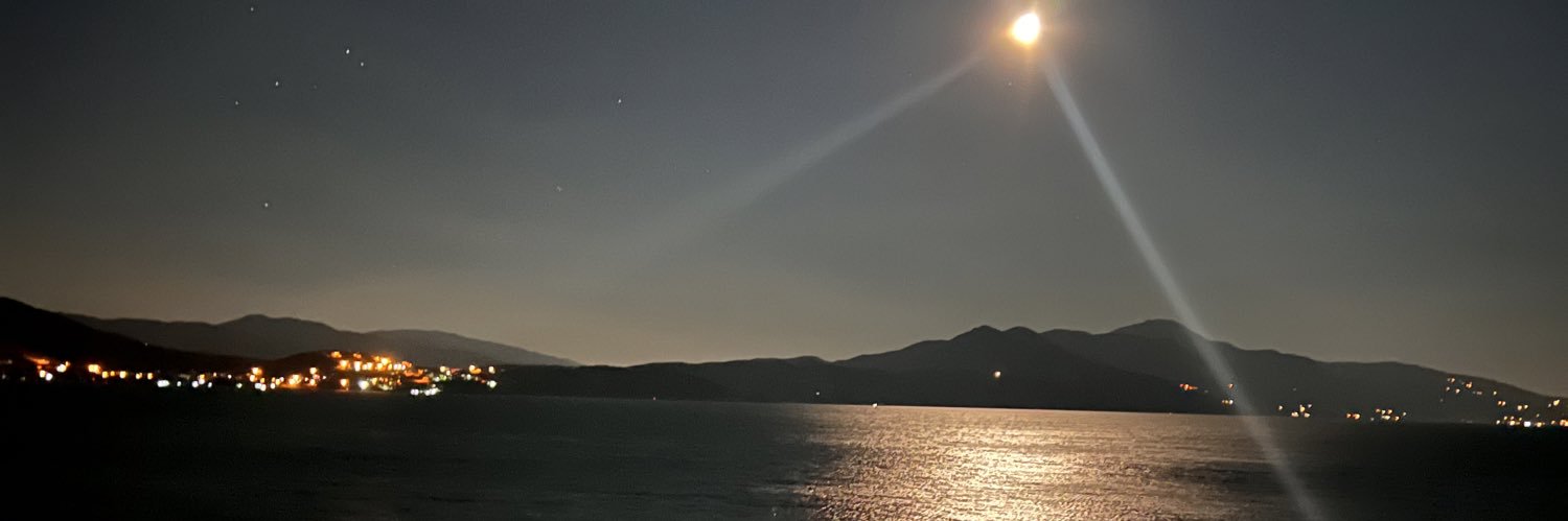 serdartopalan's profile banner image