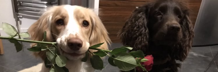 em_jolly's profile banner image