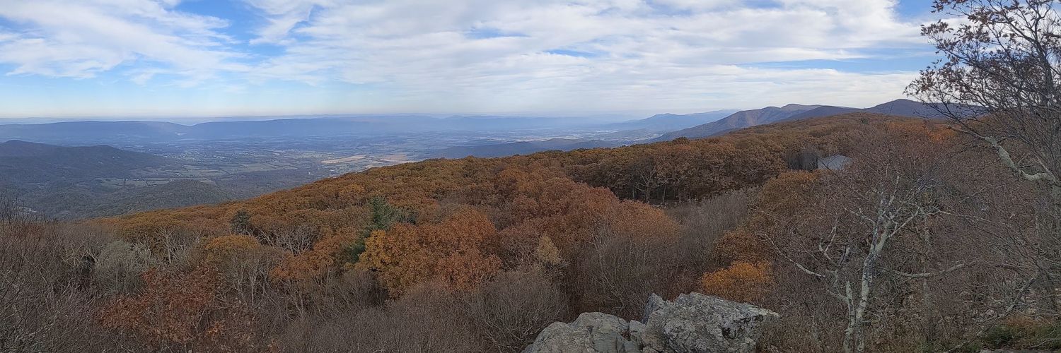 Elinor Benami banner