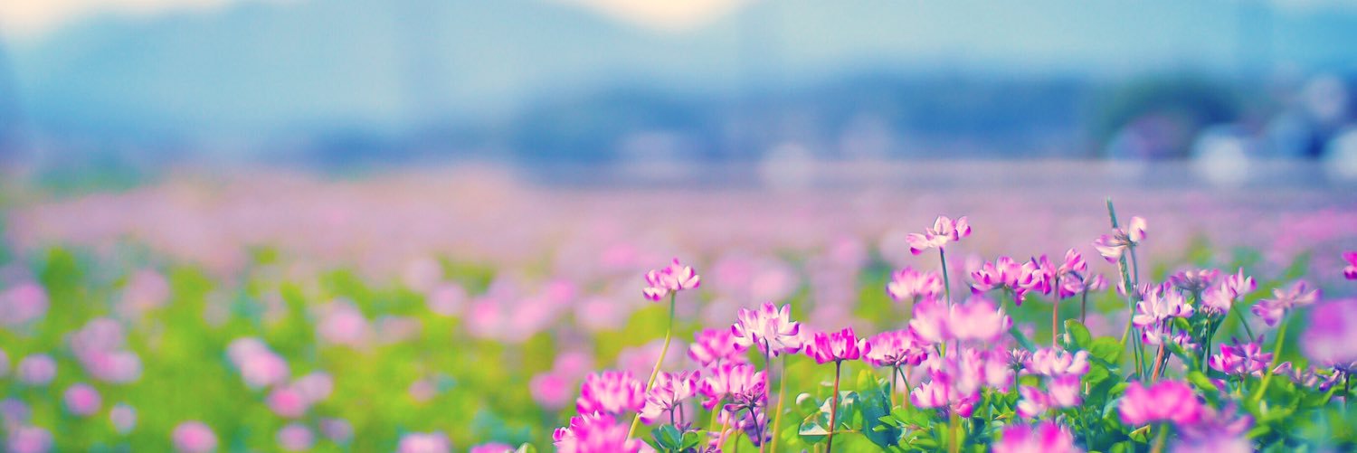 ぽっぽ🐦 banner