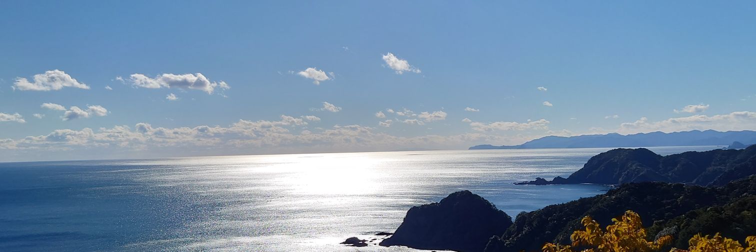 NISHII310's profile banner image