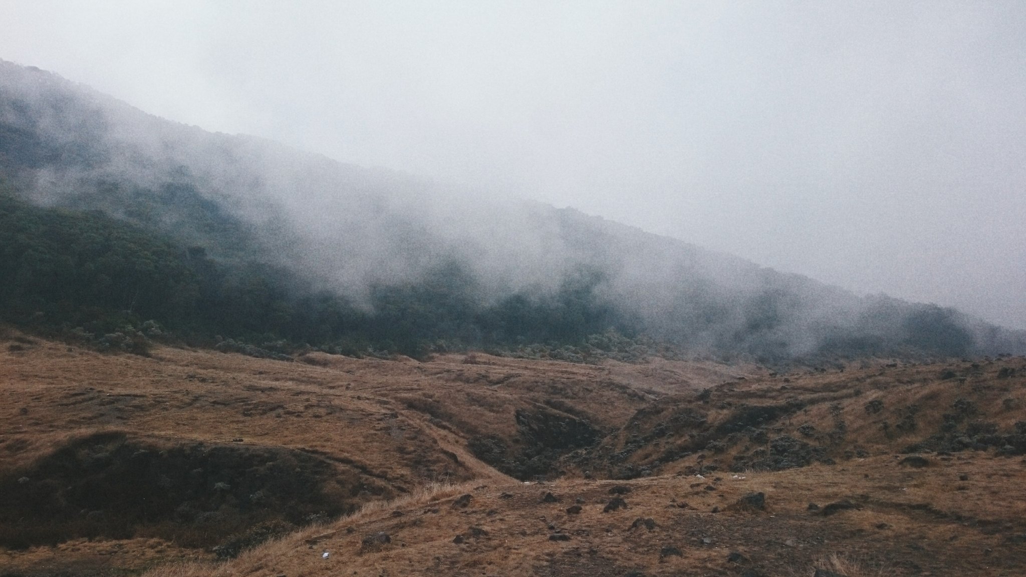 icasetyo_'s profile banner image