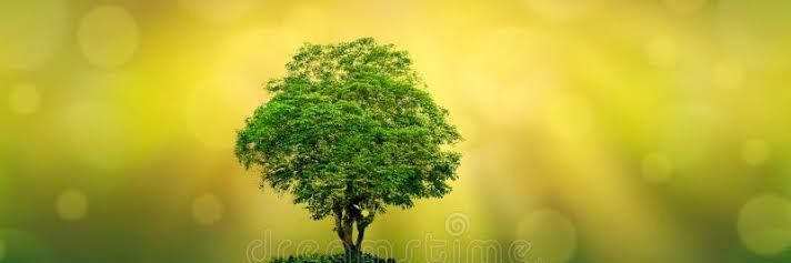 vikram_sekar23's profile banner image
