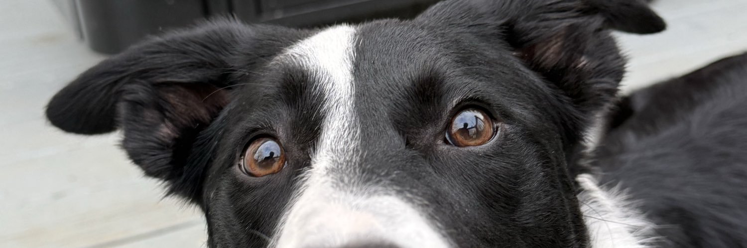 Barrett Johnson banner