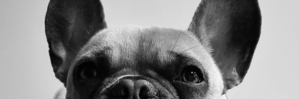dysonboyyy's profile banner image