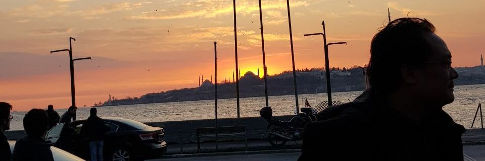 muhfish3000's profile banner image