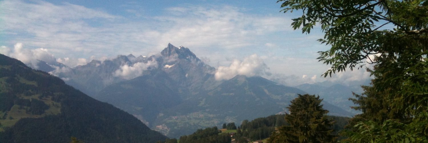 Christophe Ponzio banner