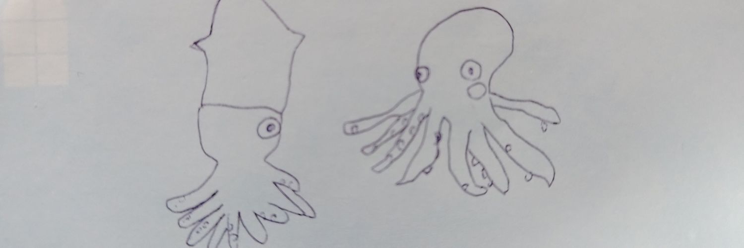 するめたこ banner