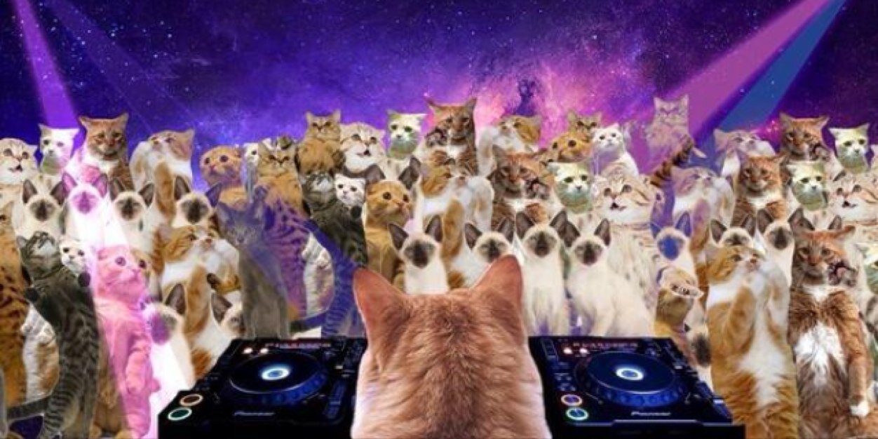 Laarimfs's profile banner image