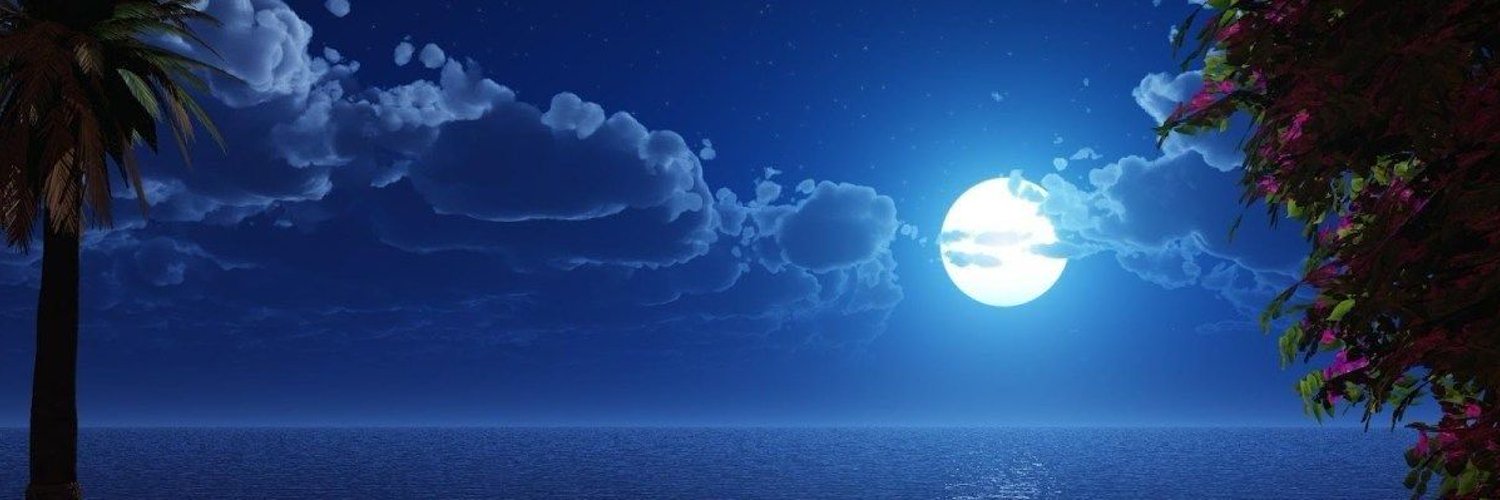 Maryamaziz2000's profile banner image
