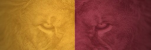 Sdc_Gltsry's profile banner image
