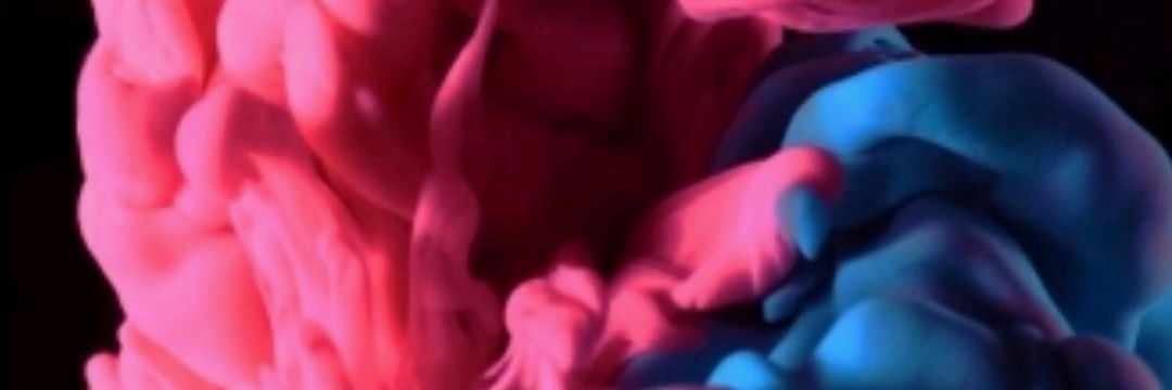bonkybeevy's profile banner image