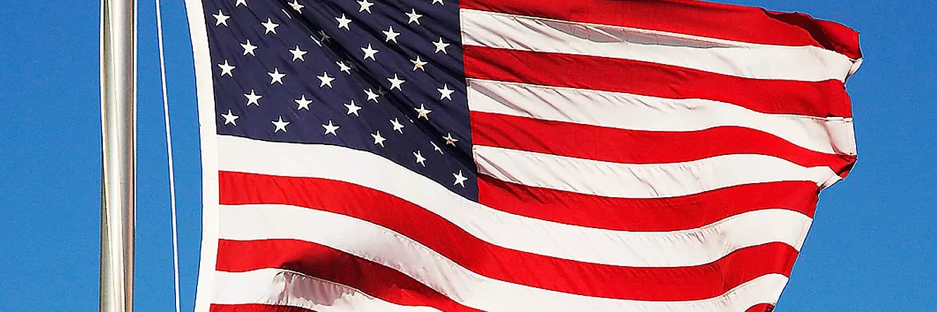 flying_turtule's profile banner image