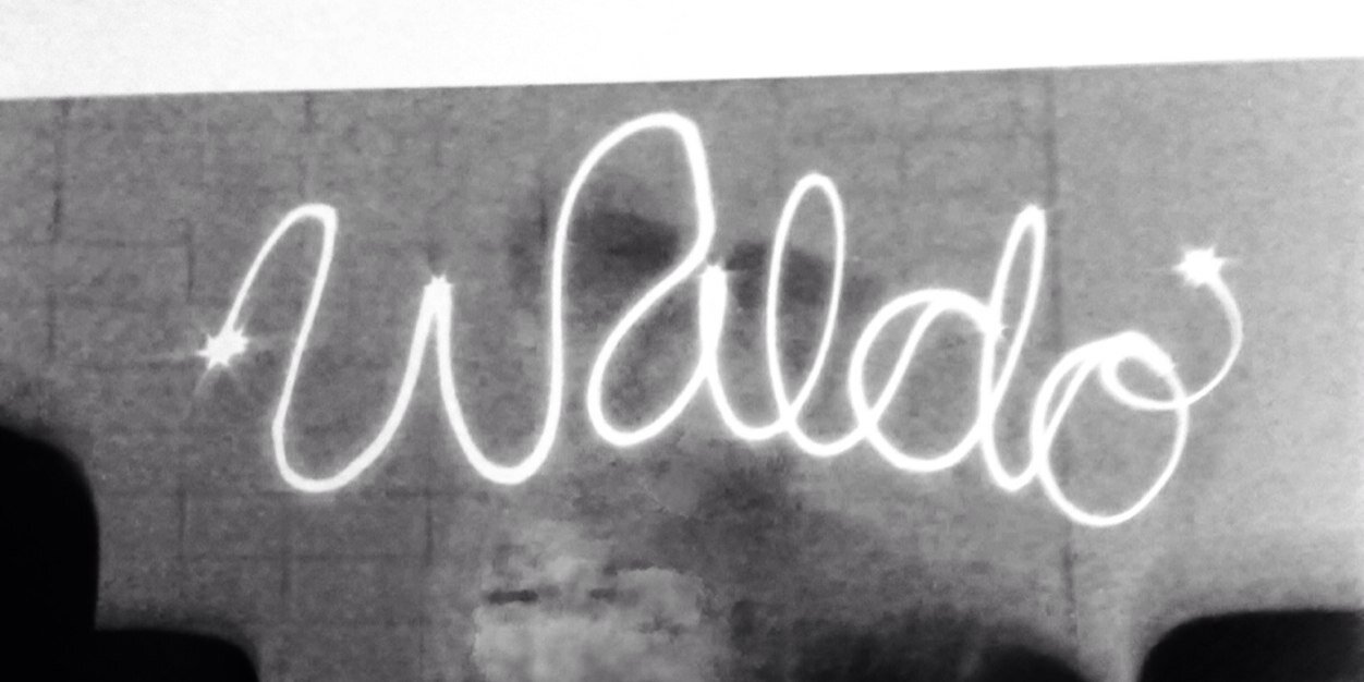 waldogh's profile banner image