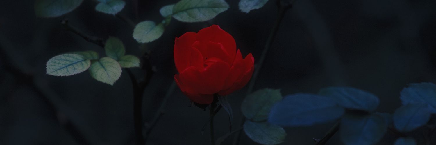 José • ホセ🌹🦇🔻 banner