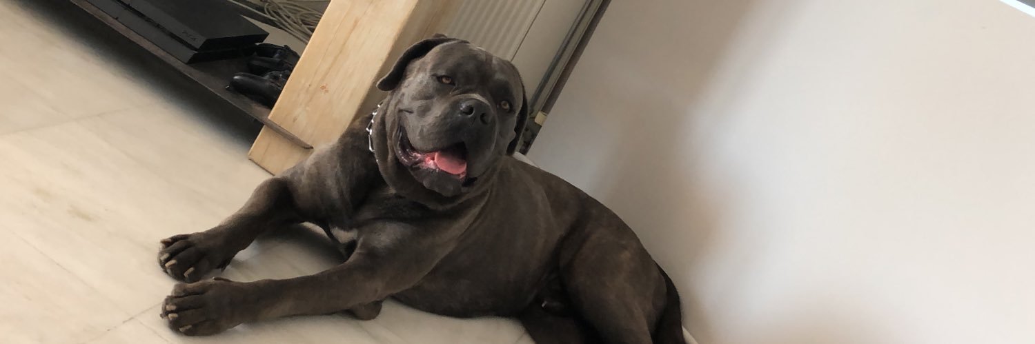 Georgios Bogris banner