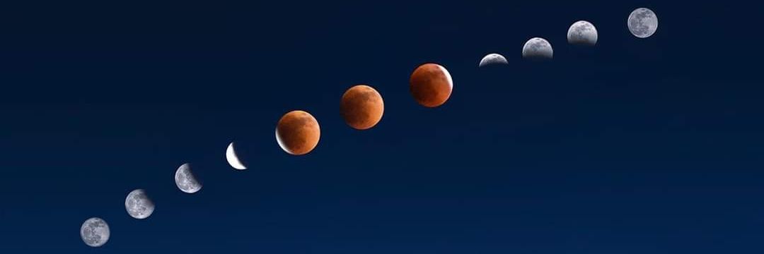 LunaAmodia's profile banner image