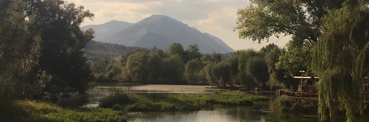 Alice Routledge banner