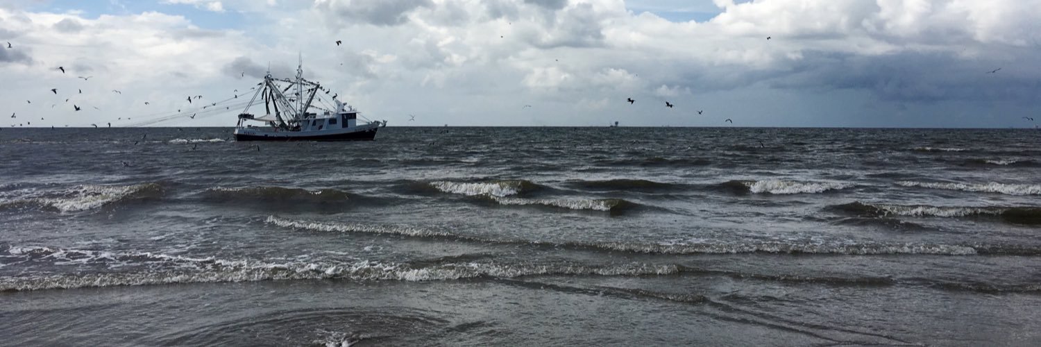 Roxanne Kearns Dill banner