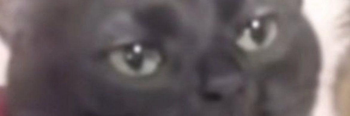 Otro Luis banner