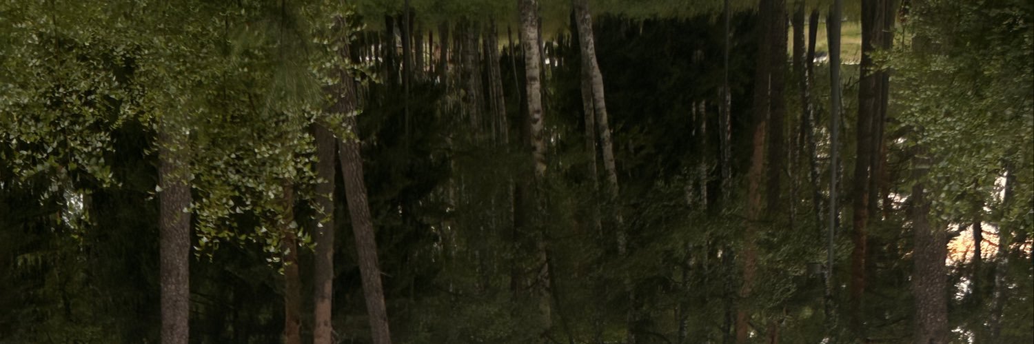 foxblah's profile banner image