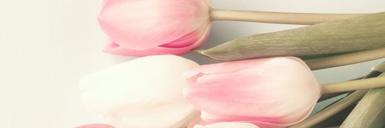 niHol_'s profile banner image