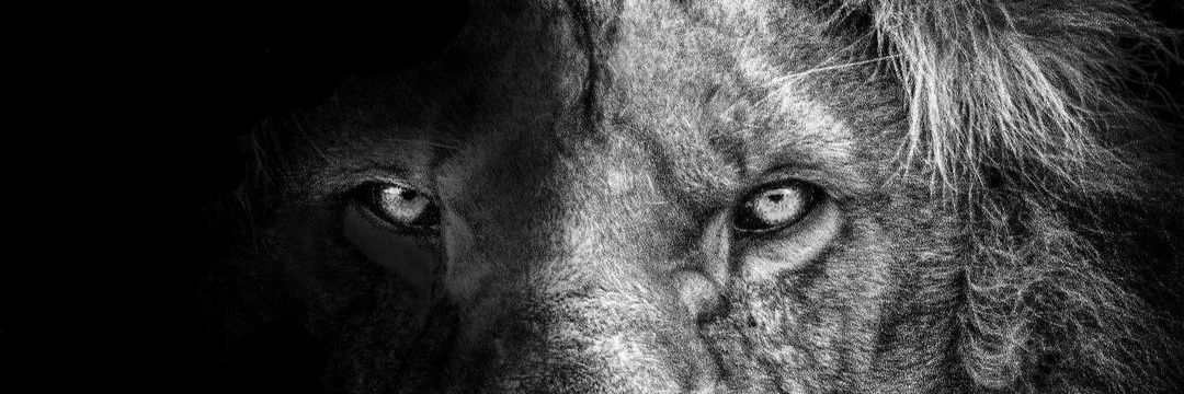 demiremrllah's profile banner image