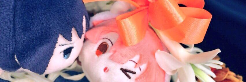 twinkle427_ADN's profile banner image
