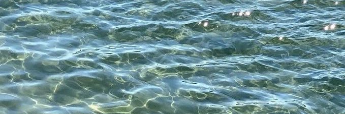 seabutterflyy's profile banner image