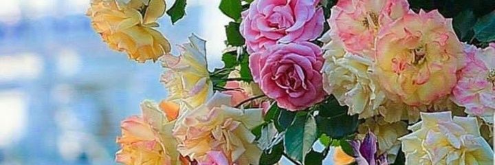 LiyanaSeptiani's profile banner image