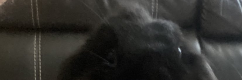 OYASUMI banner