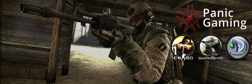 Panic Gaming banner