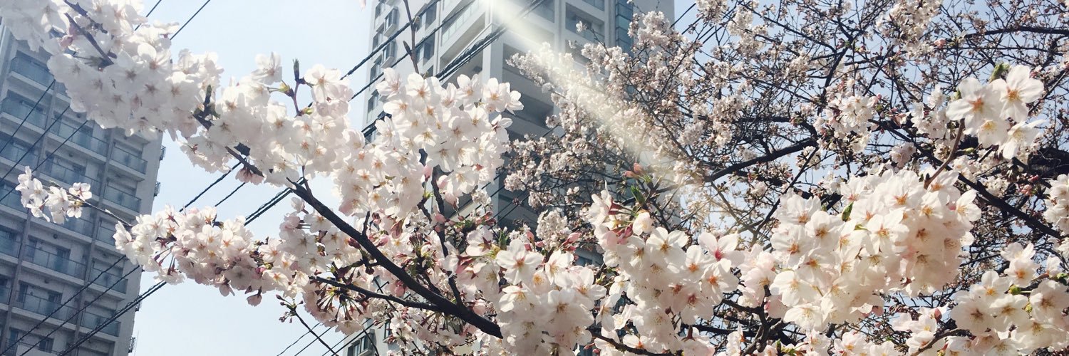 mn_chiy's profile banner image