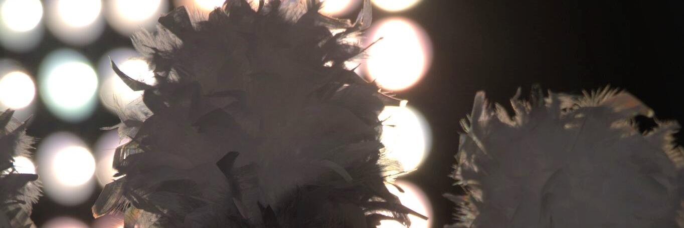 Ridge View Bands banner