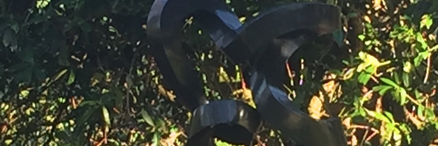 Naomi goodhand banner