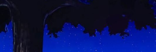 Roro banner