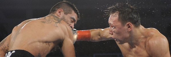 BannerBoxing Profile Banner