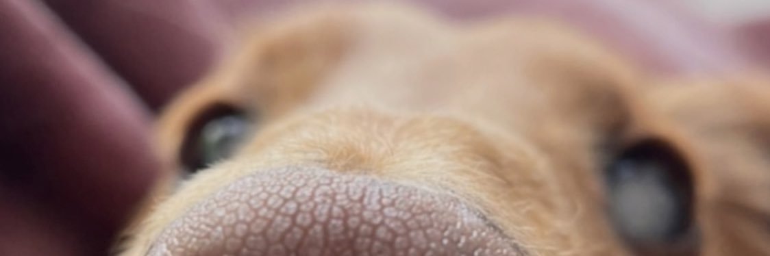 j_lt_'s profile banner image