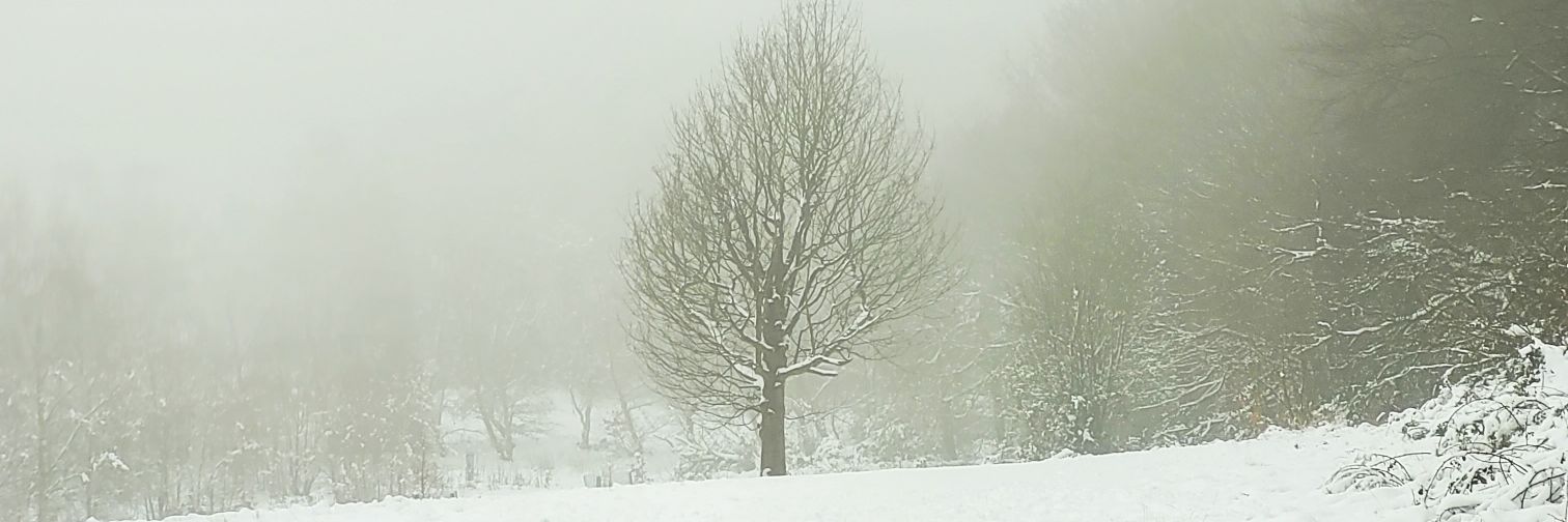 C. banner
