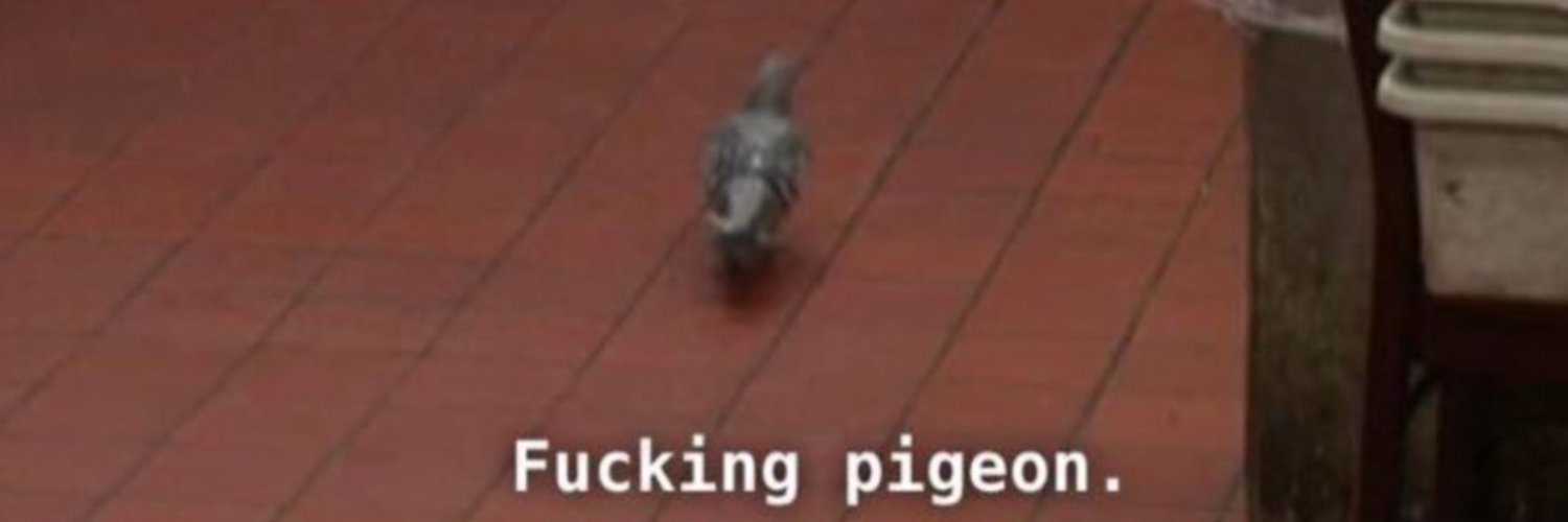 PigeonDreadful's profile banner image